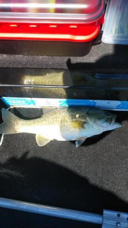 引き続きちょい爆