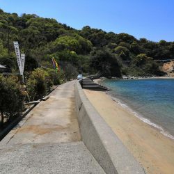 キスがそろそろ釣れ始めています。