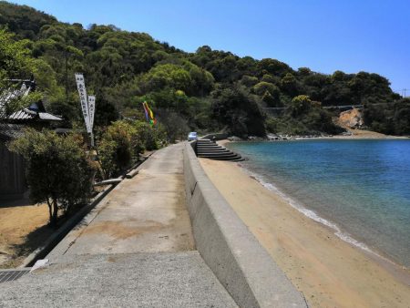 キスがそろそろ釣れ始めています。