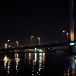 南港カモメ大橋ヘチ釣行 (21日大潮~ メバル、ガシラ 釣果有り)