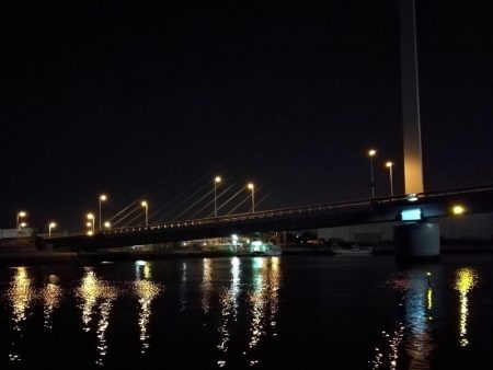 南港カモメ大橋ヘチ釣行 (21日大潮~ メバル、ガシラ 釣果有り)