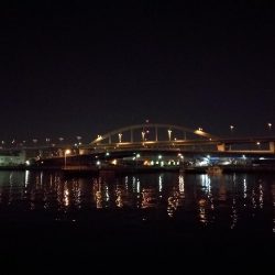 南港フェリーヘチ釣り （GW1日目～ 小チヌ,根魚の釣果有り）