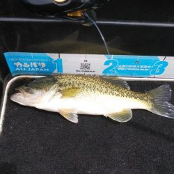 GWアシ打ちまだいけます!