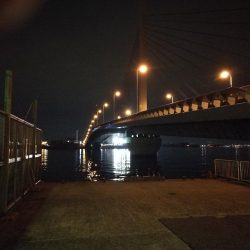 南港カモメ大橋 釣行 (GW3日目~ 小キビレチヌ,根魚の釣果有り)