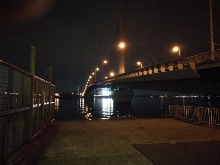 南港カモメ大橋 釣行 (GW3日目~ 小キビレチヌ,根魚の釣果有り)