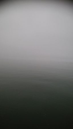 小マゴチが釣れました。。。