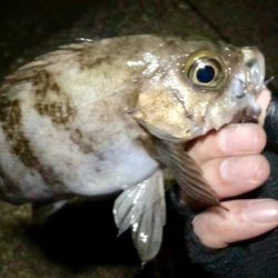 前人未踏のポイント新規開拓!?