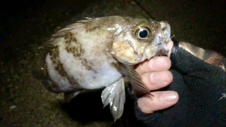 前人未踏のポイント新規開拓!?