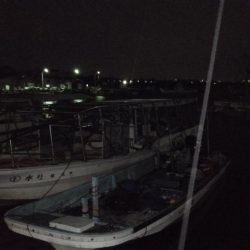 雨が降るまでの釣行