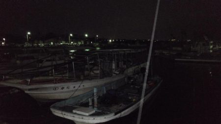 雨が降るまでの釣行