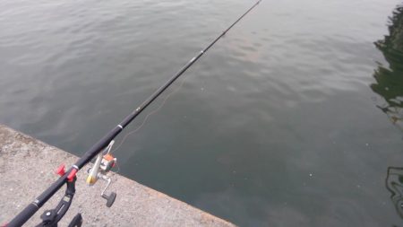 浮き釣り最高！