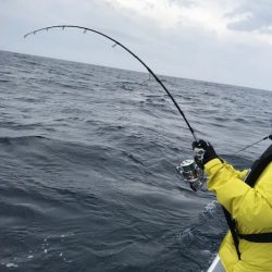 へいみつ丸 釣果