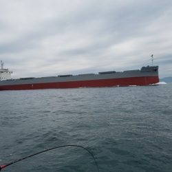 遊漁船 ニライカナイ 釣果