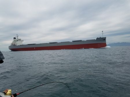 遊漁船 ニライカナイ 釣果