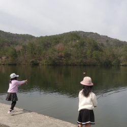 フィッシングレイクたかみや 釣果