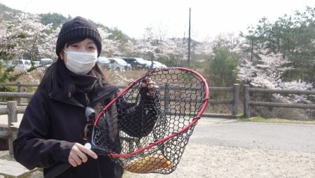 フィッシングレイクたかみや 釣果