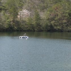 フィッシングレイクたかみや 釣果