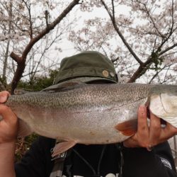 フィッシングレイクたかみや 釣果