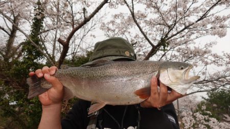フィッシングレイクたかみや 釣果