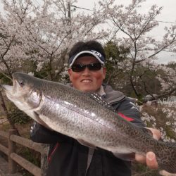 フィッシングレイクたかみや 釣果