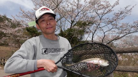 フィッシングレイクたかみや 釣果