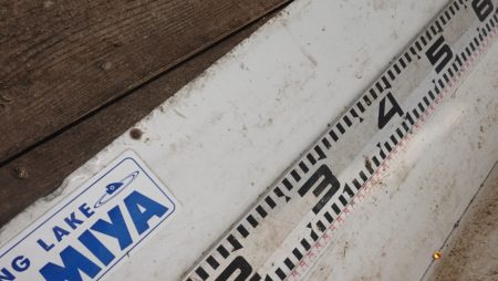 フィッシングレイクたかみや 釣果