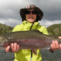 フィッシングレイクたかみや 釣果