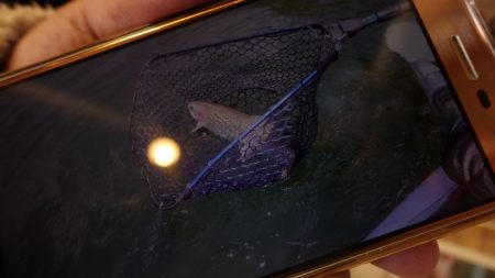 フィッシングレイクたかみや 釣果