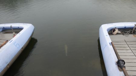 フィッシングレイクたかみや 釣果