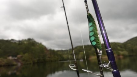 フィッシングレイクたかみや 釣果