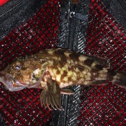 神戸ライトワインド2