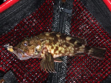 神戸ライトワインド2