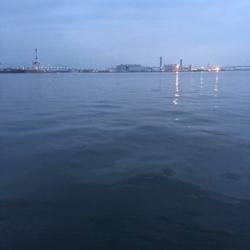 メバルはどこへ？