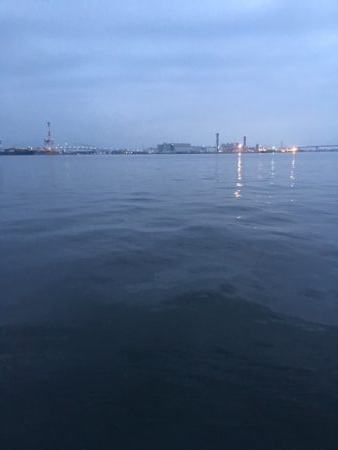 メバルはどこへ？