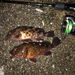 神戸ライトワインド2