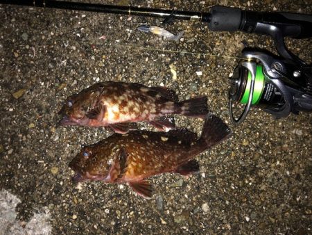 神戸ライトワインド2