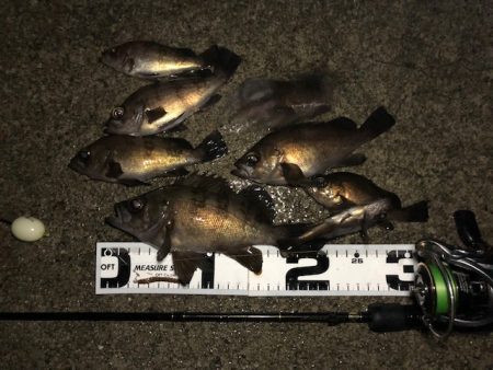 二見メバリング19