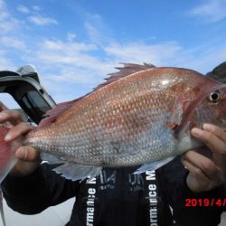 大進丸(新潟) 釣果