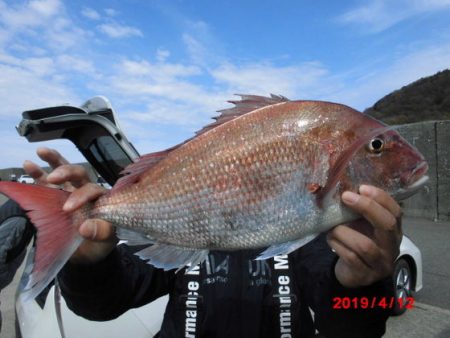 大進丸(新潟) 釣果