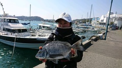 まこと渡船 釣果