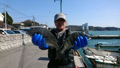 まこと渡船 釣果