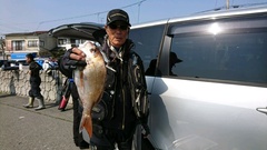 まこと渡船 釣果