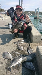 まこと渡船 釣果