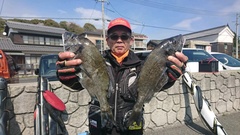 まこと渡船 釣果
