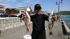 まこと渡船 釣果
