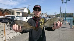 まこと渡船 釣果