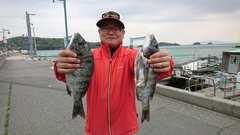 まこと渡船 釣果