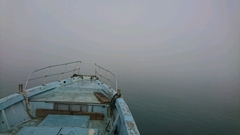 まこと渡船 釣果