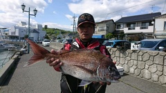まこと渡船 釣果