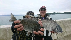 まこと渡船 釣果
